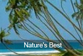 nature's best